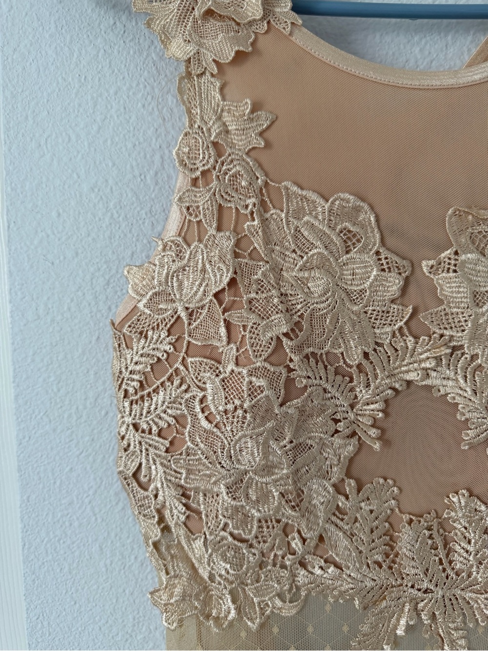 Windsor Beige Floral Lace Mini Dress - Picture 2 of 6